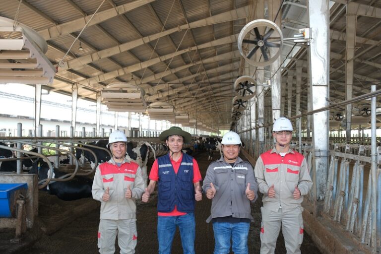 Hợp tác giữa Tomexco và TH True Milk