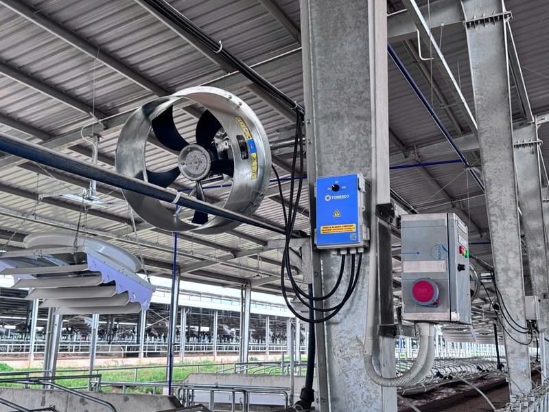 Hình ảnh quạt xoay 360° Tomexco