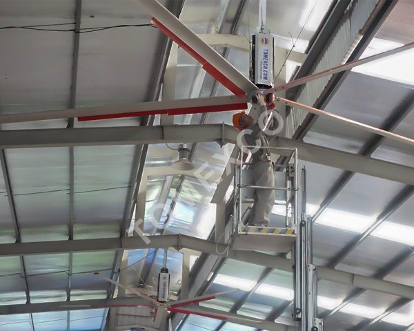 Giải Pháp Kết Hợp Quạt HVLS Và Hệ Thống Làm Mát Chuồng Bò